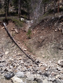 Petigrew Gulch Path